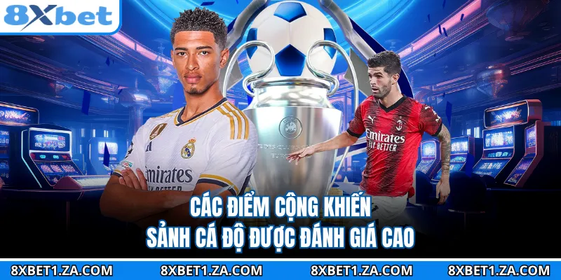 Các điểm cộng khiến sảnh cá độ được đánh giá cao