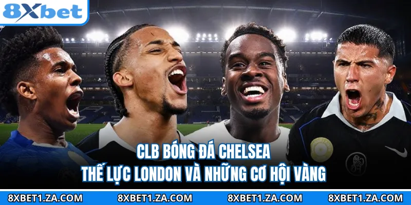 CLB Bóng Đá Chelsea - Thế Lực London Và Những Cơ Hội Vàng