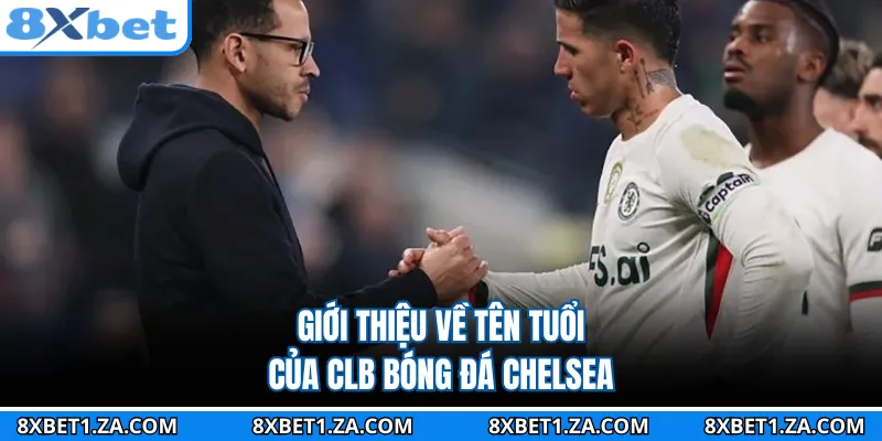 Giới thiệu về tên tuổi của CLB bóng đá Chelsea