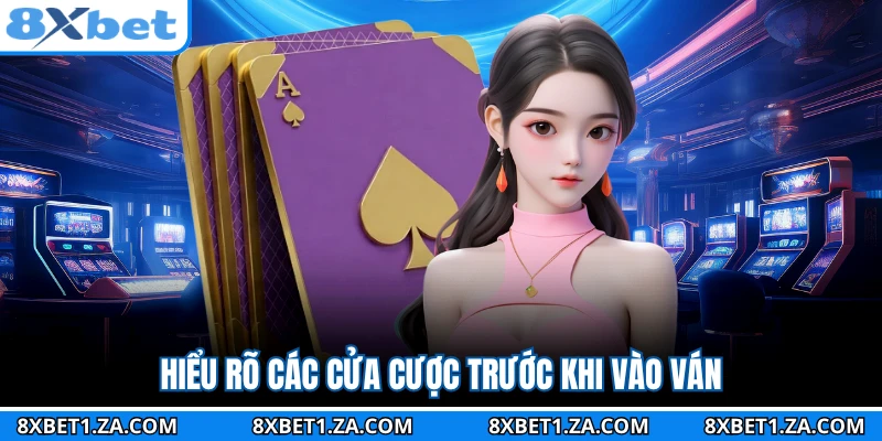 Hiểu rõ các cửa cược trước khi vào ván